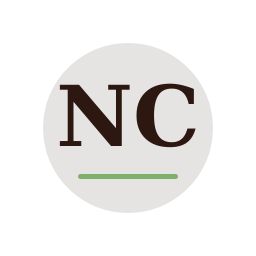 Neil Chimney Repair logo